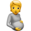 pregnant_person
