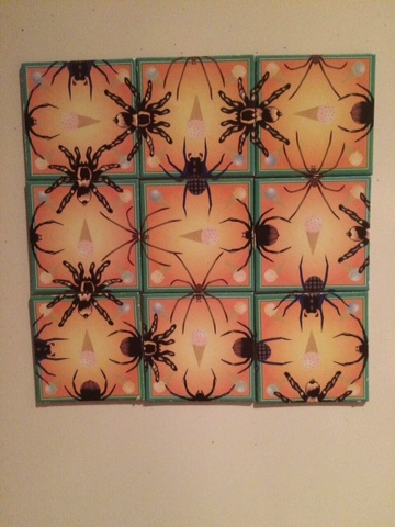 Spider Puzzle