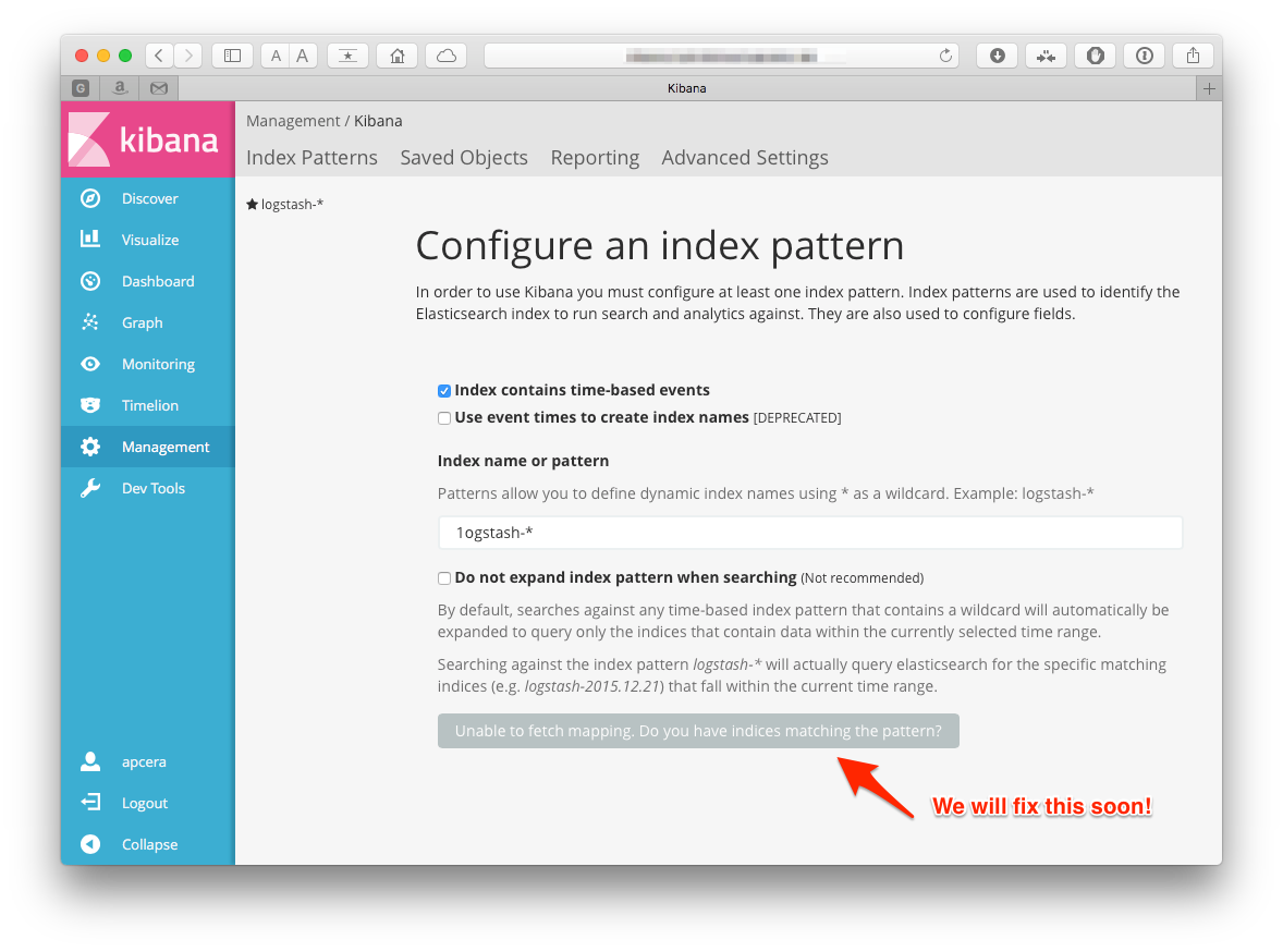 Kibana Interface