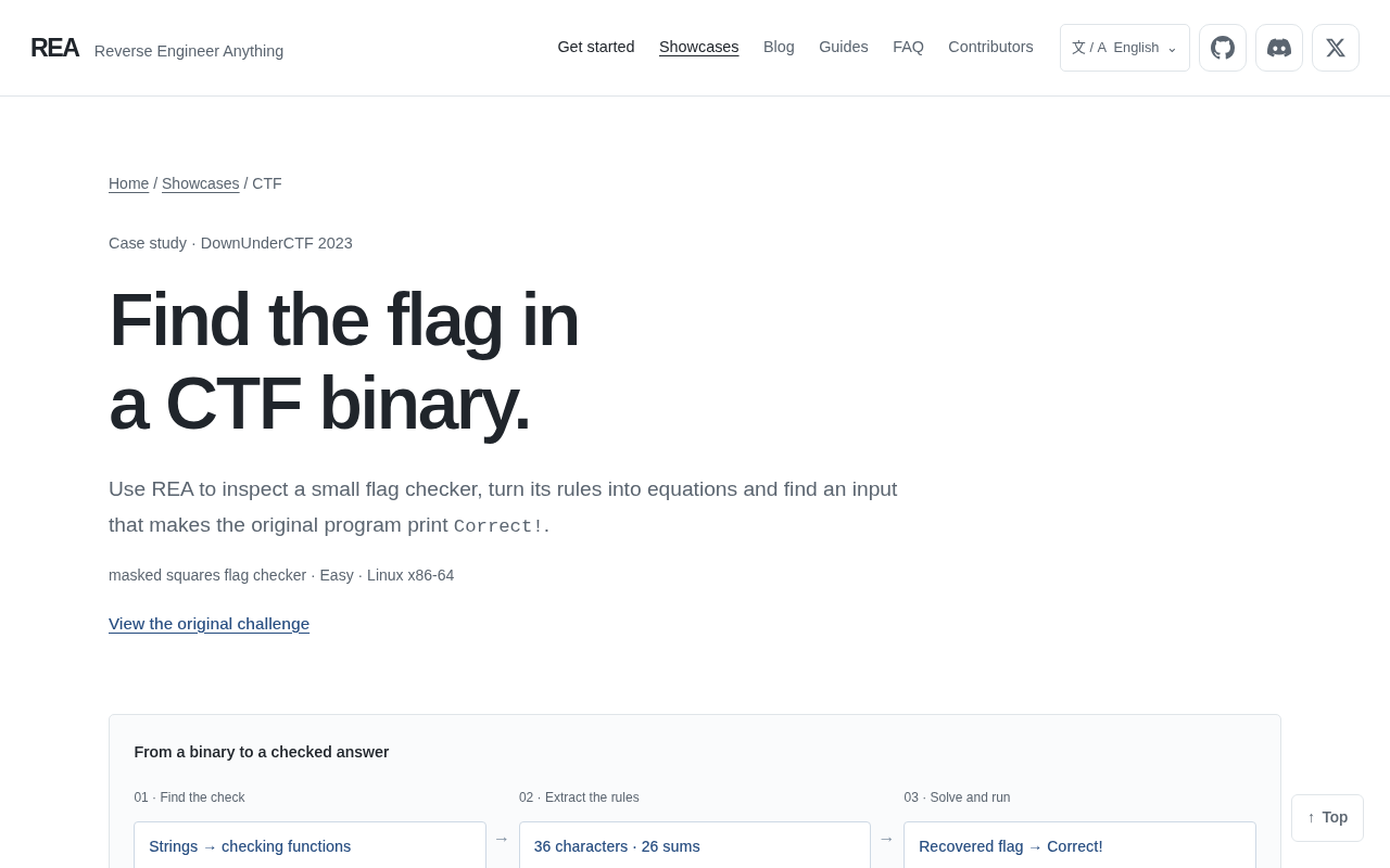 CTF: flag checker