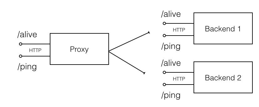 API proxy