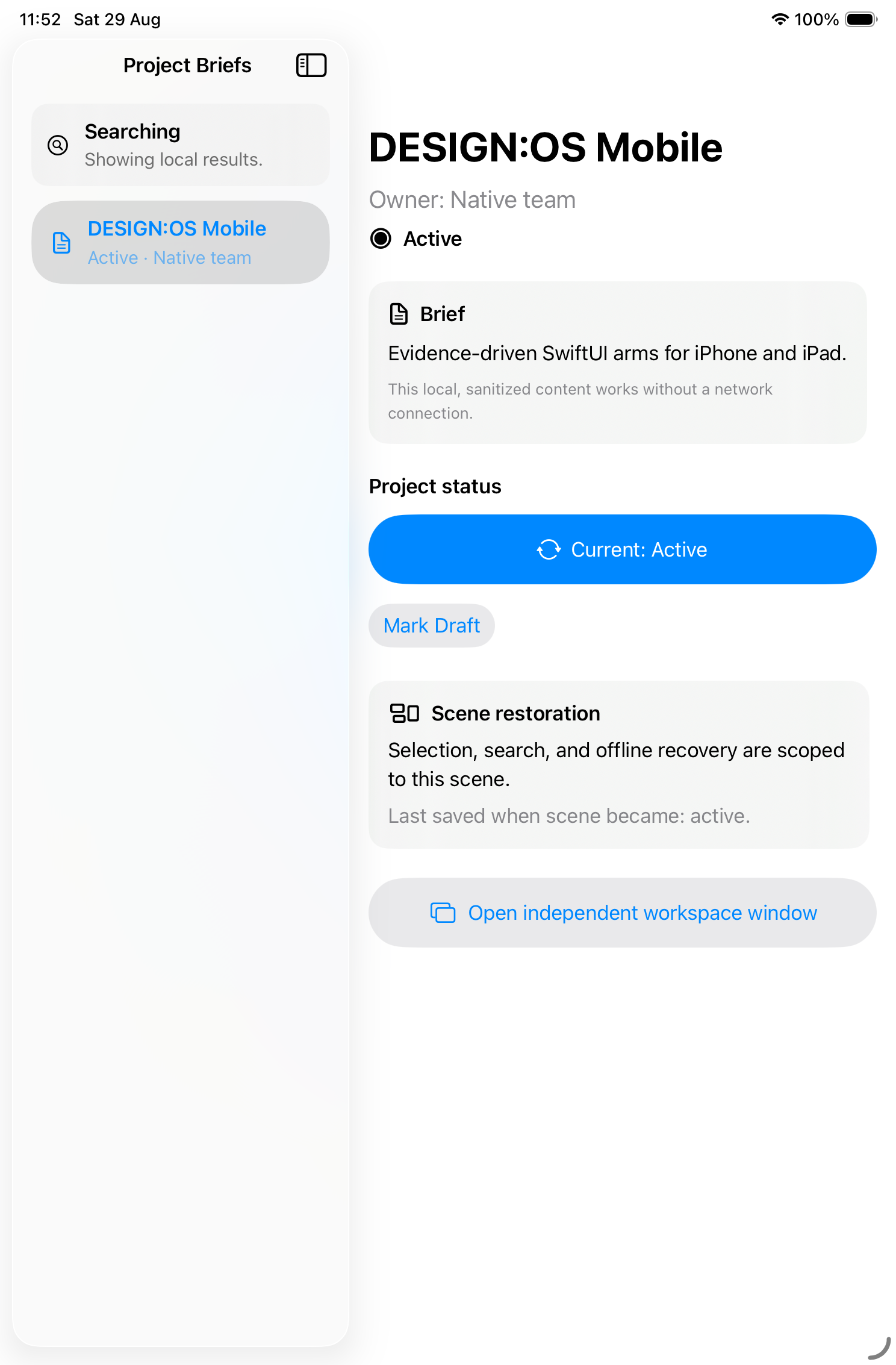 Native SwiftUI project workspace rendered on the iPad mini simulator