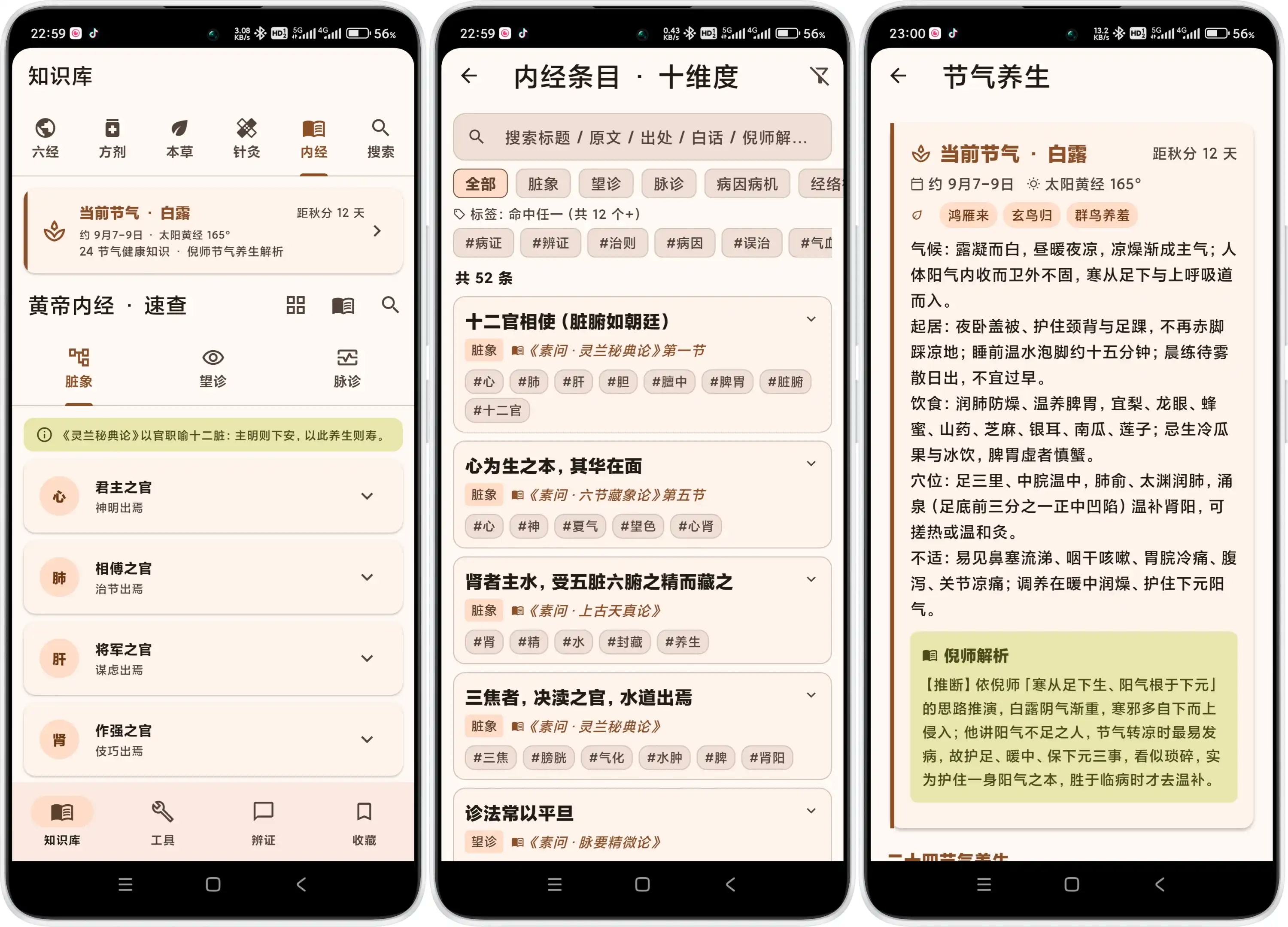 v1.11.19 内经结构化条目检索