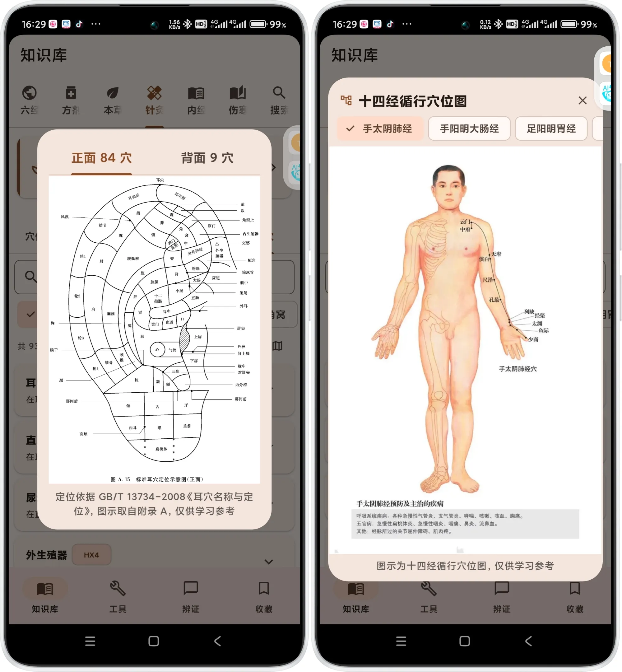 v1.11.26 耳穴国标定位图与十四经循行穴位图
