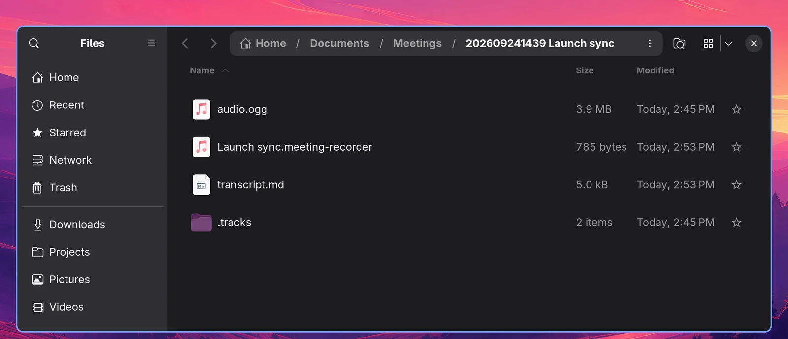 The inside of a meeting folder with hidden files shown: audio.ogg, Launch sync.meeting-recorder, transcript.md and .tracks