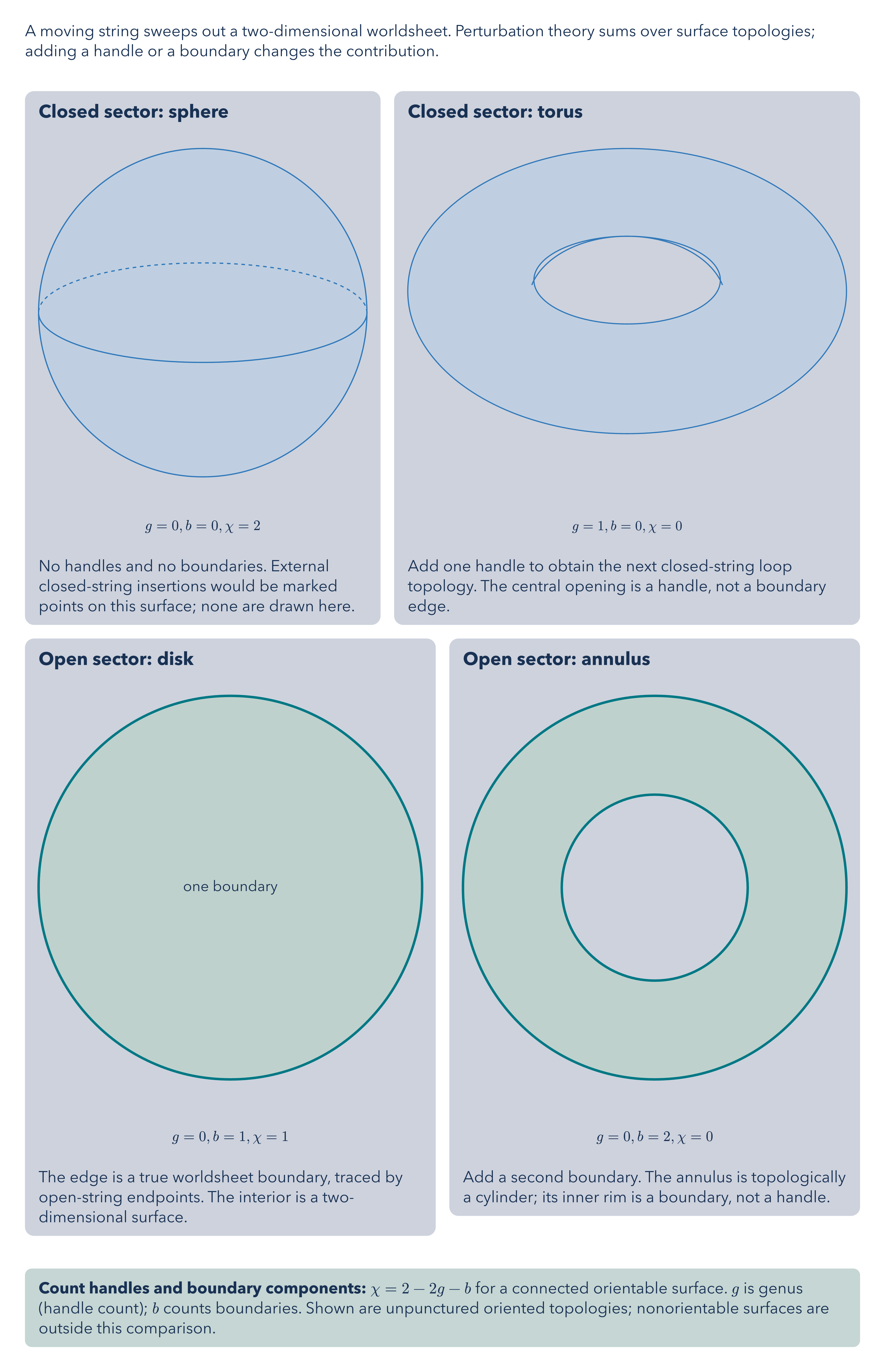 String Worldsheet Topologies