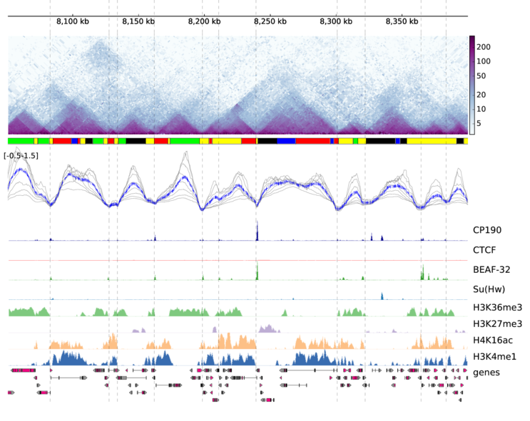 pyGenomeTracks example