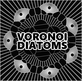 Voronoi diatoms