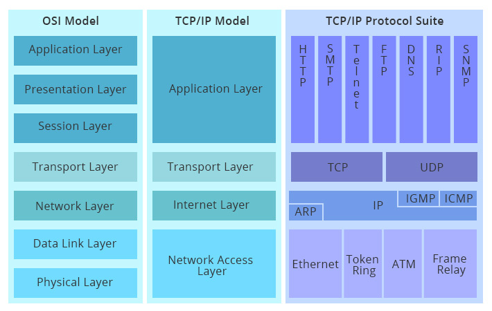 TCP/IP and OSI Models 2