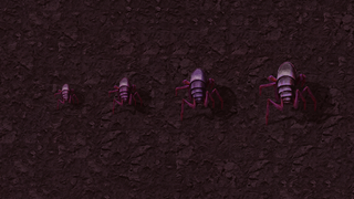 Four violet biters on Quinityn slag, from small to behemoth