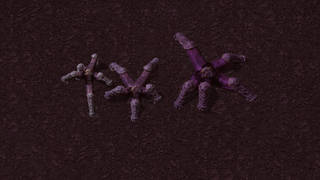 Small, medium and big Stomp-a-trons with five organic legs and Spidertron bodies