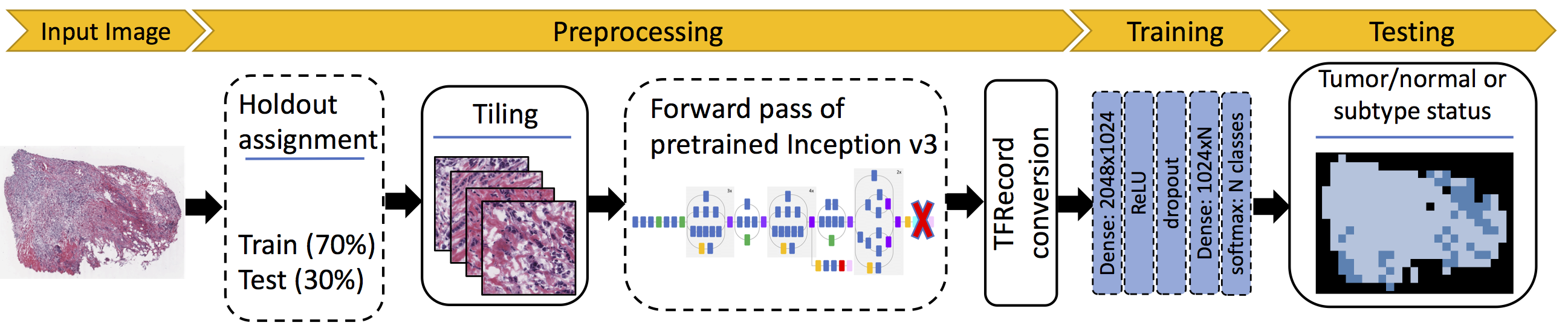 schematic of the analysis pipeline