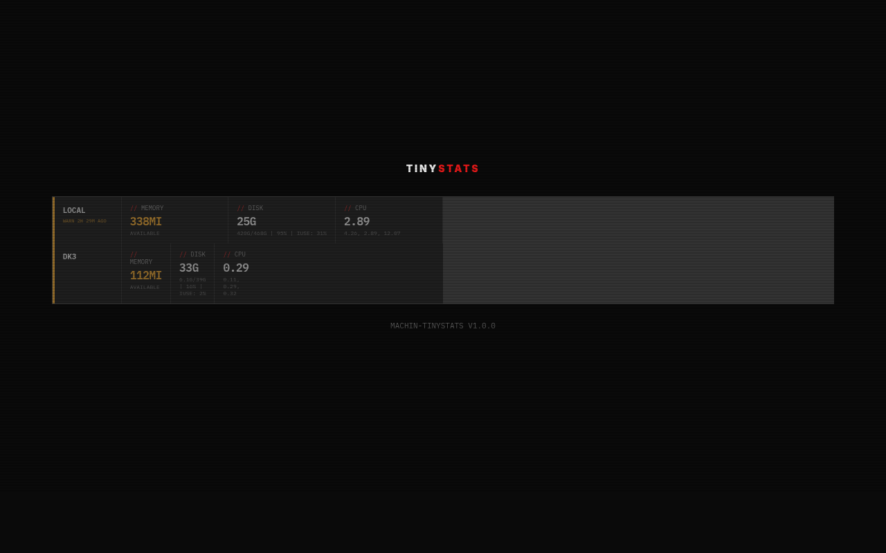 TinyStats dashboard — local machine and dk3 reporting real CPU, memory, and disk metrics