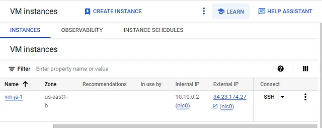 Public ip and Private ip