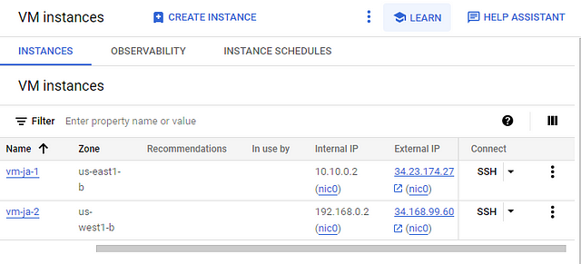 Private ip and Public ip