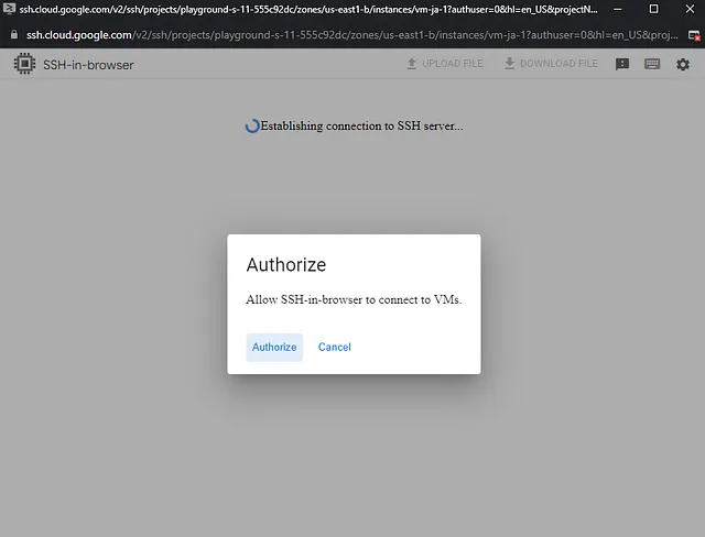 click on authorize