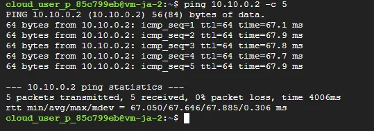 ping 10.10.0.2(vm-ja-1)