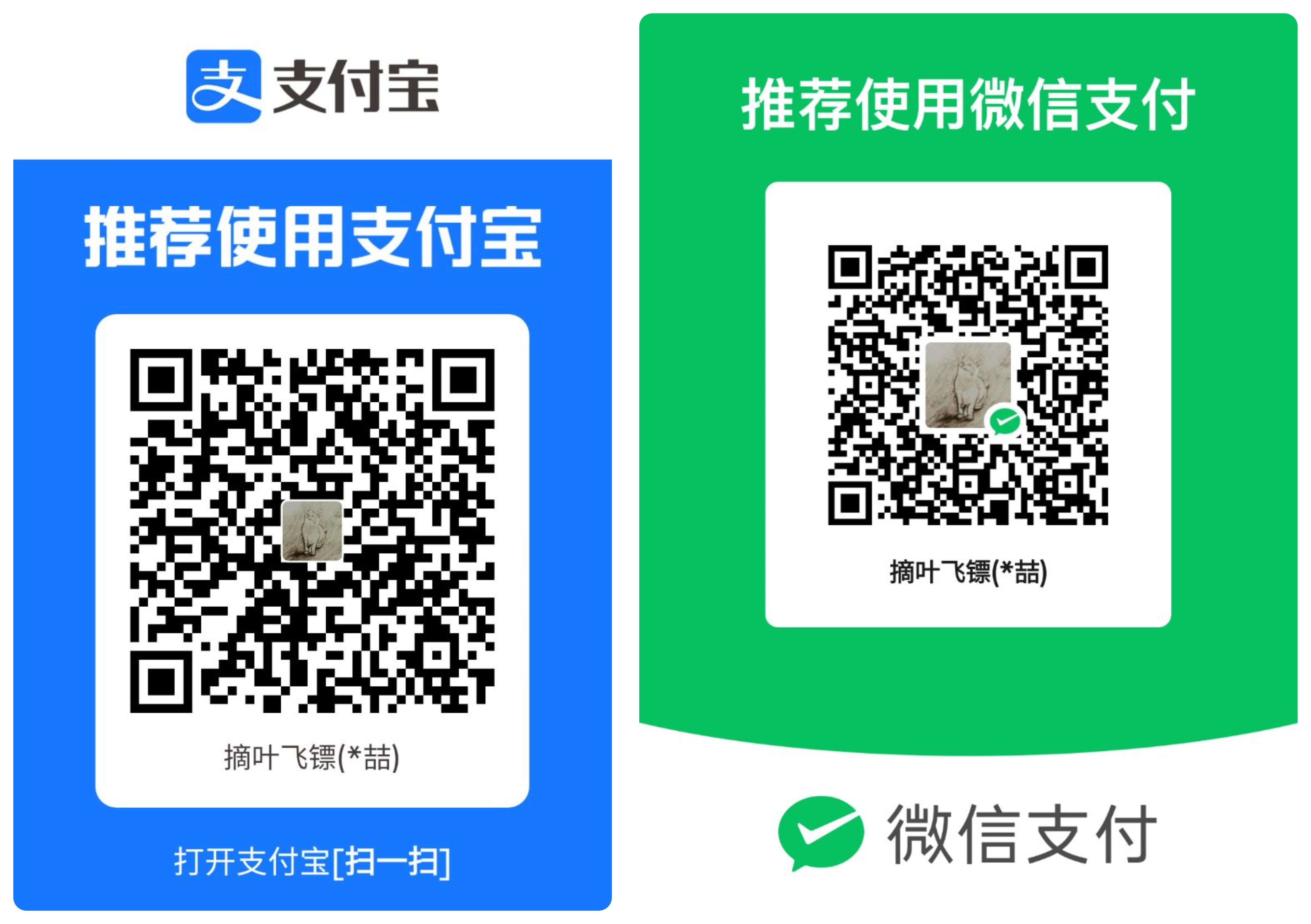 Alipay and WeChat Pay QR Codes
