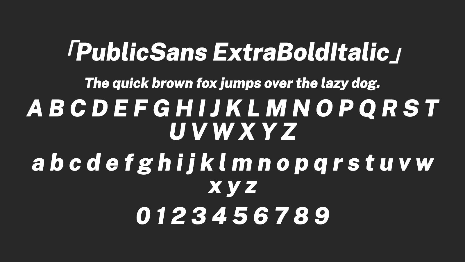 PublicSans-ExtraBoldItalic字体预览