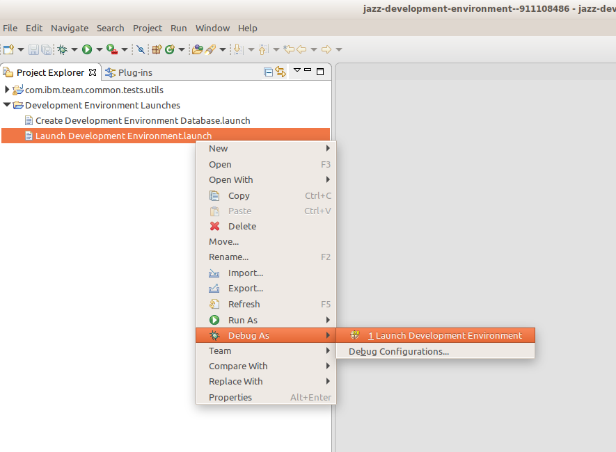 Launch Development Environment