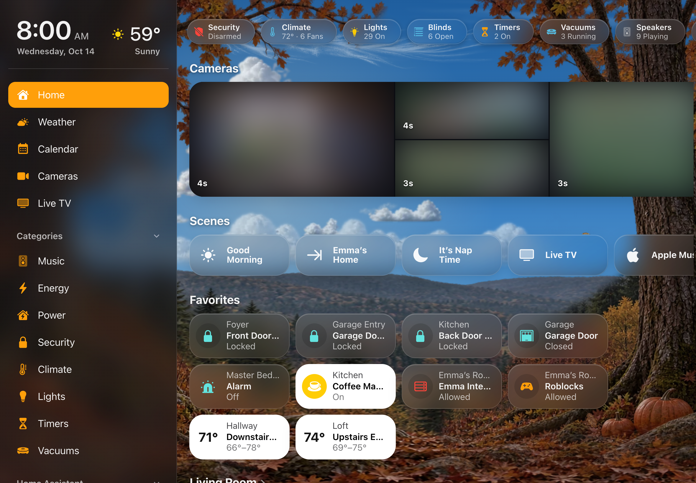 The Home screen on an iPad