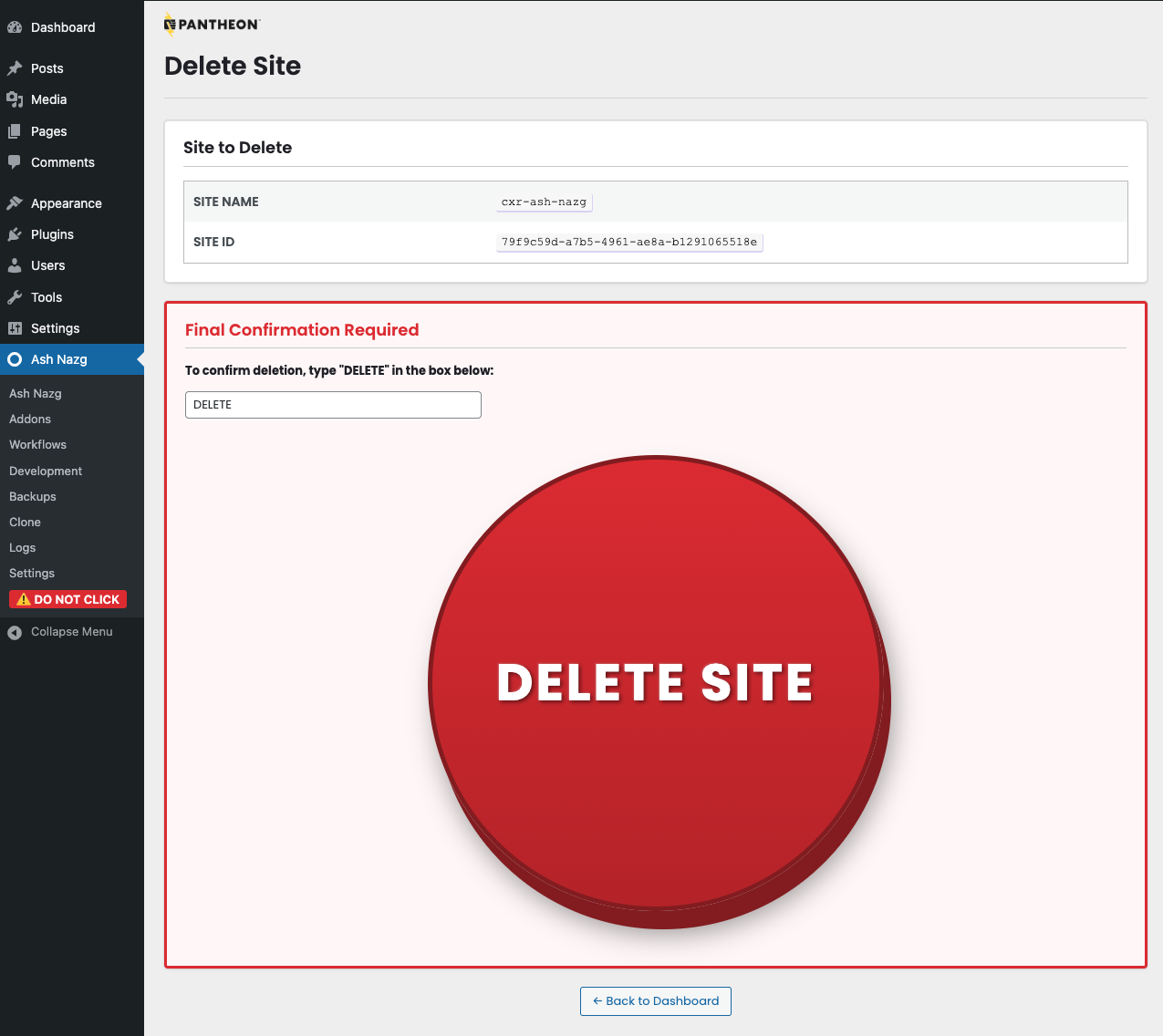 Delete site page - big red delete button enabled after typing DELETE