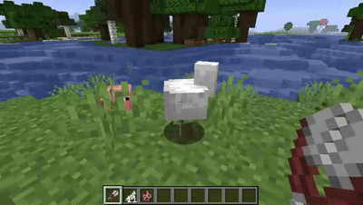 anim.gif