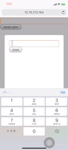 prevent-hide-keypad