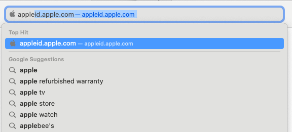 Search suggestion menu from Safari