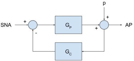 baroreflex control diagram