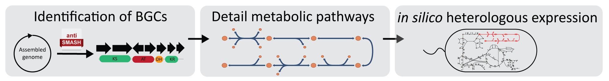 Illustration of BiGMeC pipeline