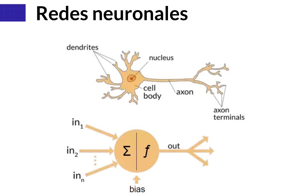 Redes Neuronales