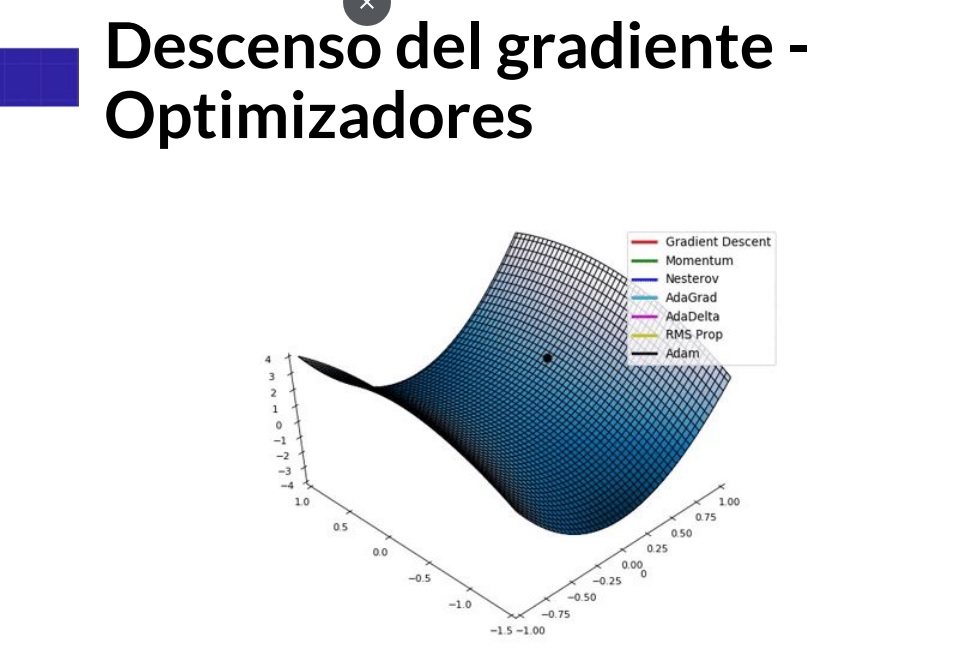 Descenso del Gradiente Optimizadores