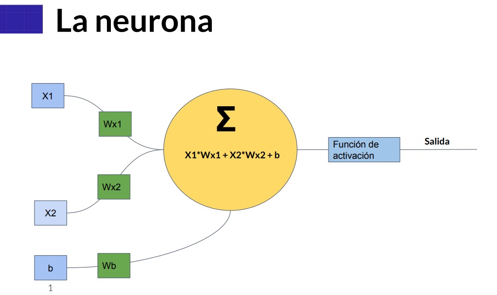 La Neurona