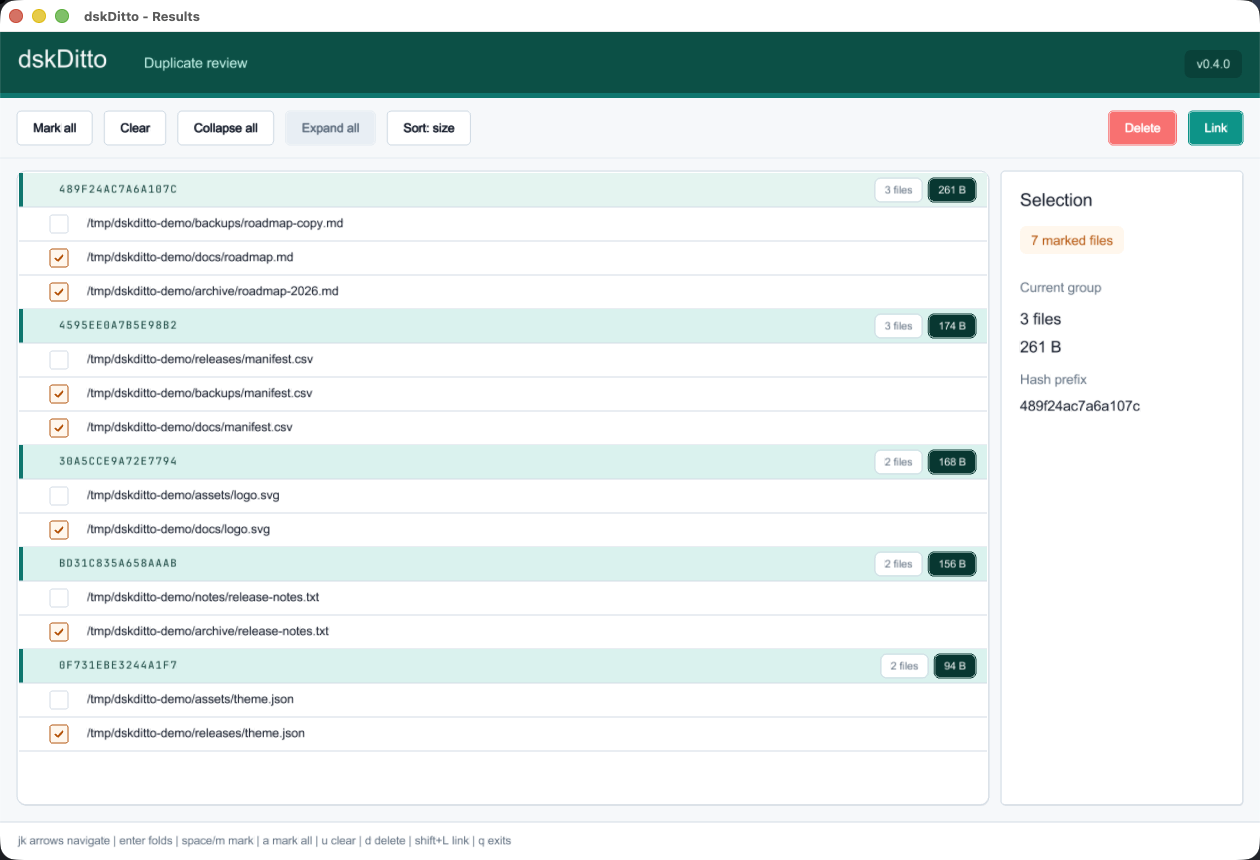 Screenshot: Raylib GUI duplicate review