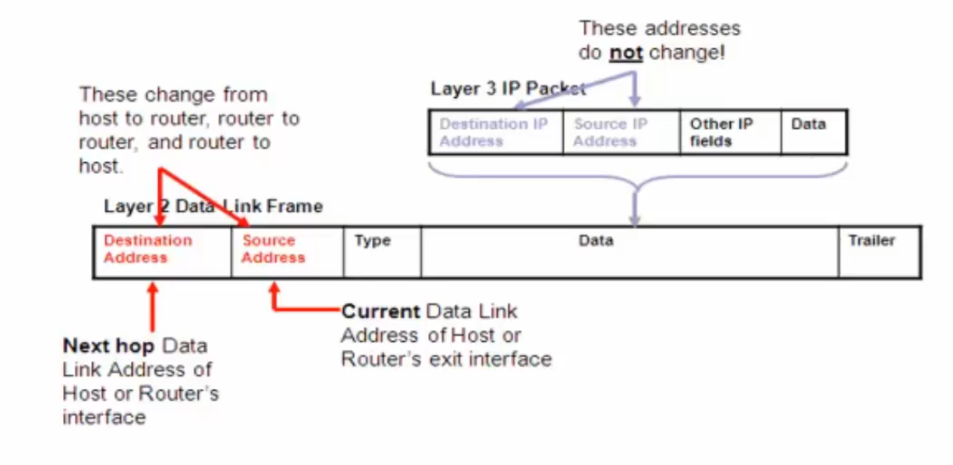 Frame Vs Packet Routing