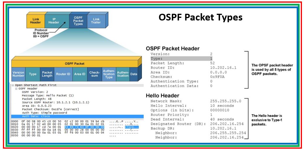 OSPF Packet Anatomy - 24 Octets