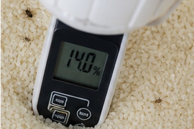쌀20KG 먼저 산 쌀부터 쓰는 날짜표 사진