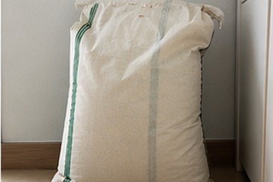쌀20KG 대용량 쌀 포대와 밀폐 용기 대표 사진