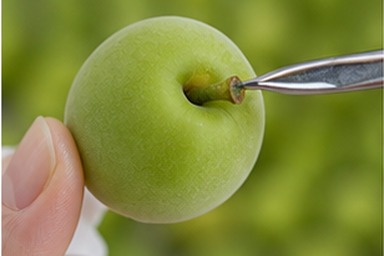 매실10KG 용도별 무게 분배 사진
