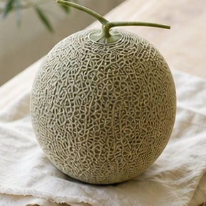 멜론제철 featured