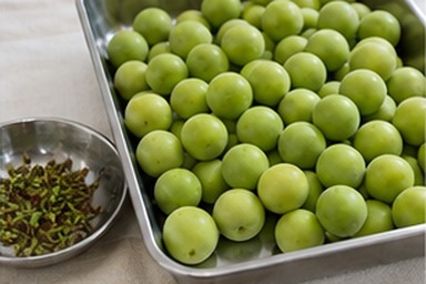 매실10KG 날짜 라벨과 보관 사진