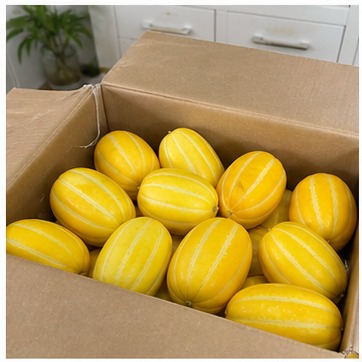 성주참외10KG featured