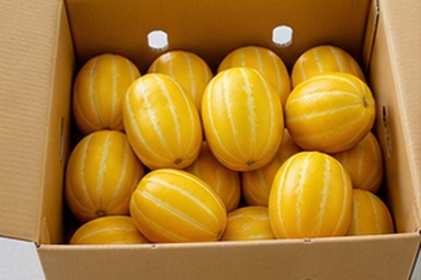 참외10KG 상자와 싱싱한 참외 대표 사진