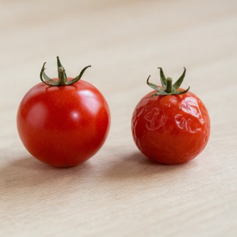 방울토마토보관법 냉장고 채소칸에 소분한 용기 실사 사진