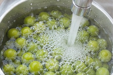 매실10KG 채반 완전 건조 사진