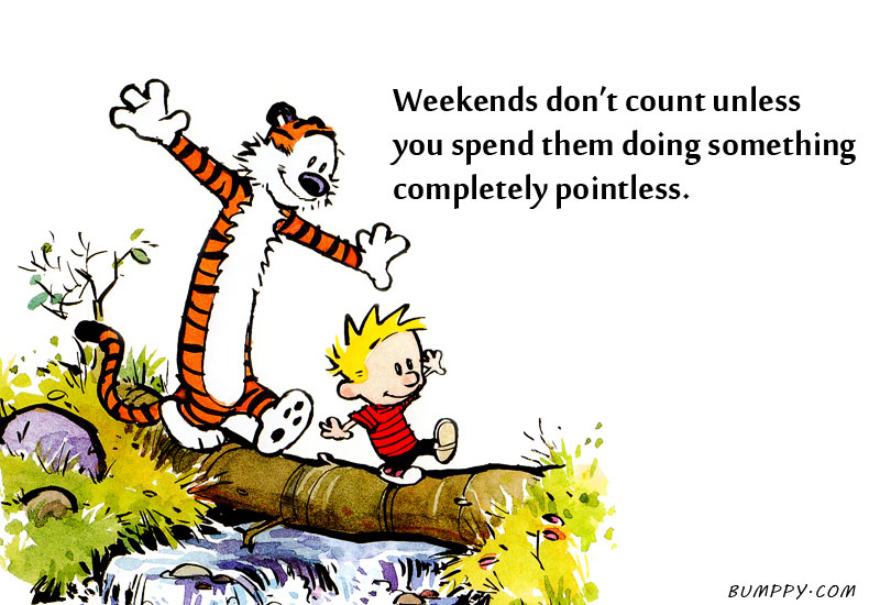 Calvin and Hobbes