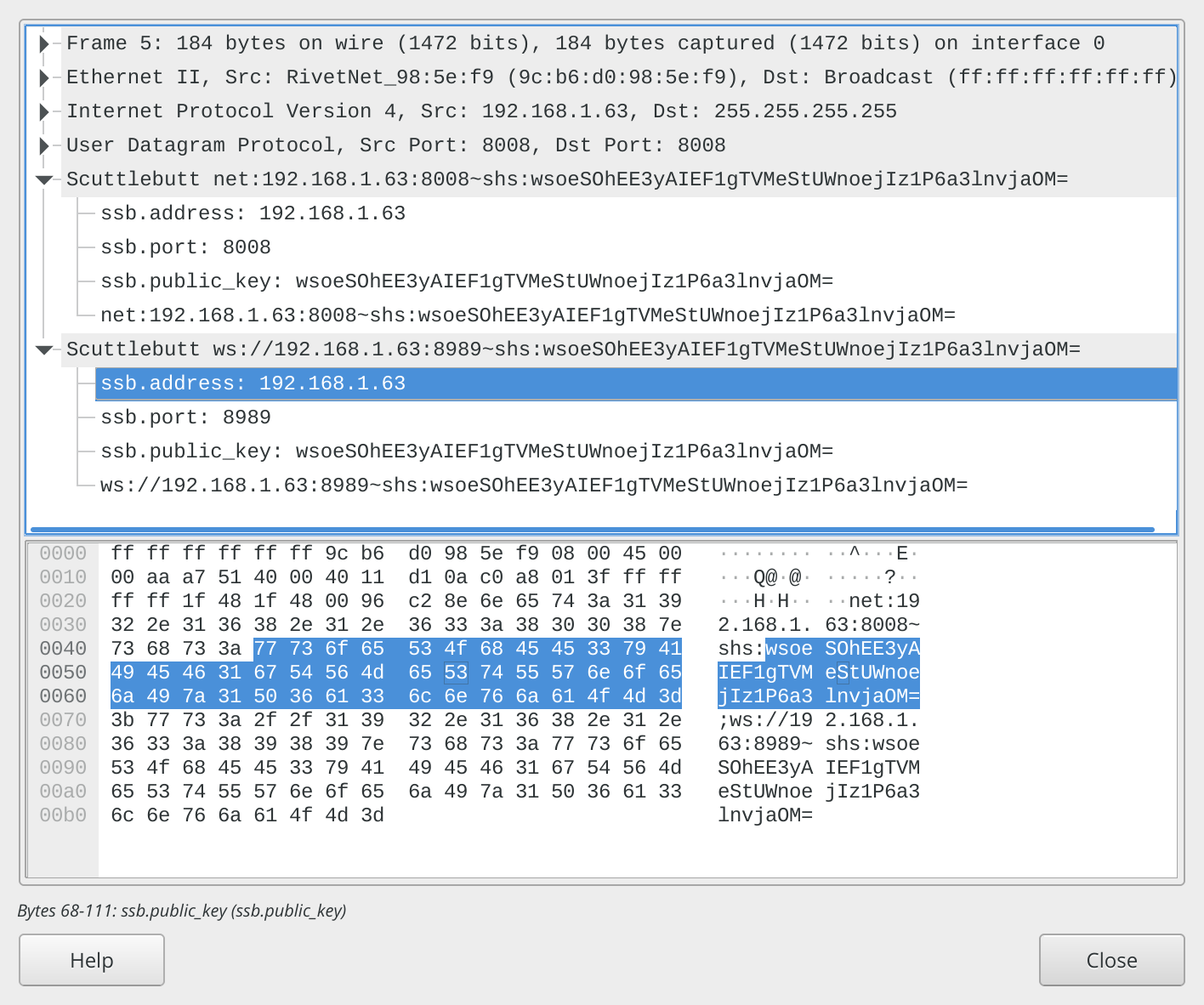 image of the dissector showing the parts of a scuttlebutt advertisement, ip address, port, and public key