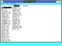 COMPAQ DeskPro 386, Windows/386