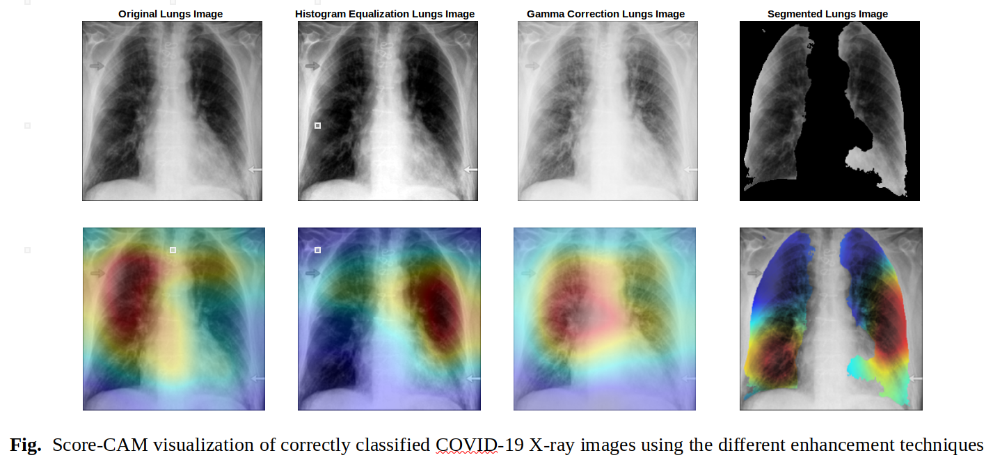 Grad-Cam Visualization